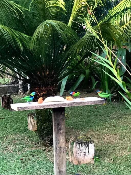 Itamambuca A Beira Mar Com Piscina Villa อูบาตูบา ภายนอก รูปภาพ